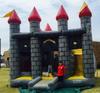 Castle 5-in-One Combo DRY